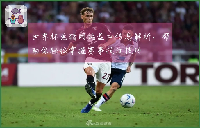 世界杯竞猜网站盘口信息解析，帮助你轻松掌握赛事投注技巧