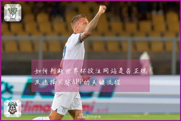 如何判断世界杯投注网站是否正规及选择买球APP的关键流程