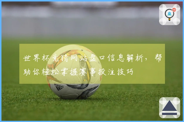 世界杯竞猜网站盘口信息解析，帮助你轻松掌握赛事投注技巧