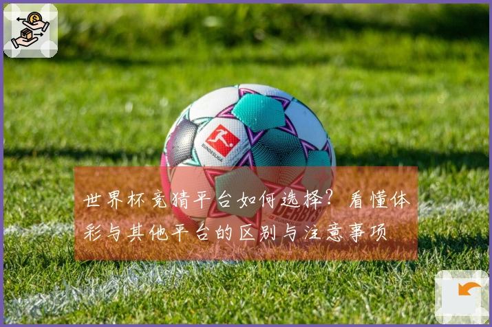 世界杯竞猜平台如何选择？看懂体彩与其他平台的区别与注意事项