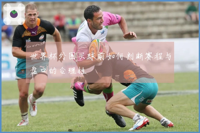 世界杯外围买球前如何判断赛程与盘口的合理性