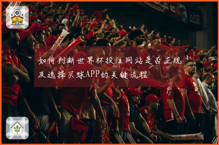 如何判断世界杯投注网站是否正规及选择买球APP的关键流程