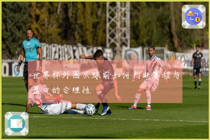 世界杯外围买球前如何判断赛程与盘口的合理性