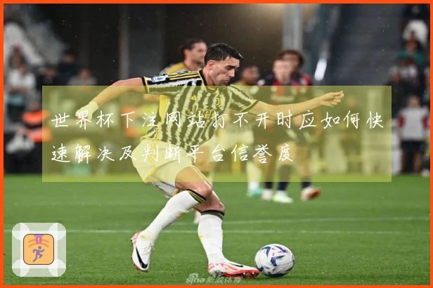 世界杯下注网站打不开时应如何快速解决及判断平台信誉度